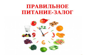 Правильное питание: залог долголетия